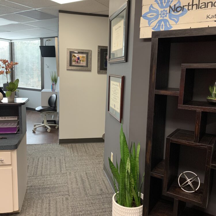 A plant in the middle of an office hallway.